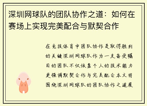 深圳网球队的团队协作之道：如何在赛场上实现完美配合与默契合作